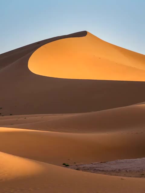 Sunlit sand dunes